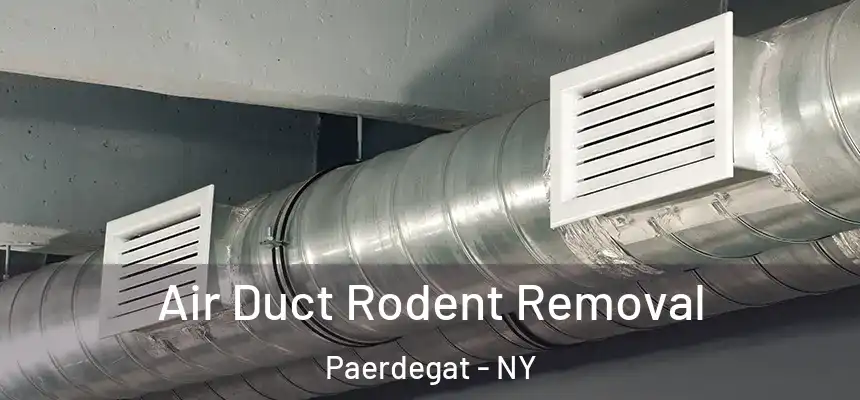 Air Duct Rodent Removal Paerdegat - NY