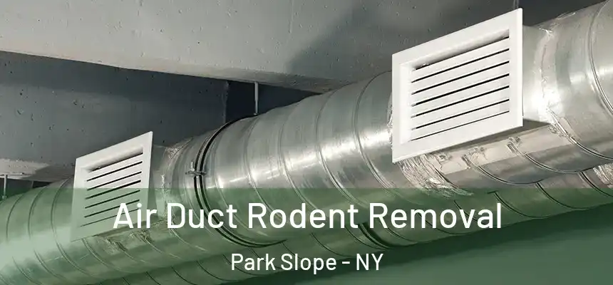 Air Duct Rodent Removal Park Slope - NY