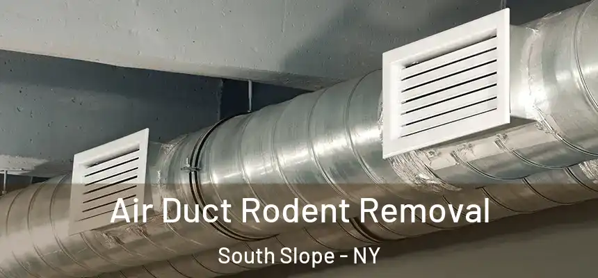 Air Duct Rodent Removal South Slope - NY