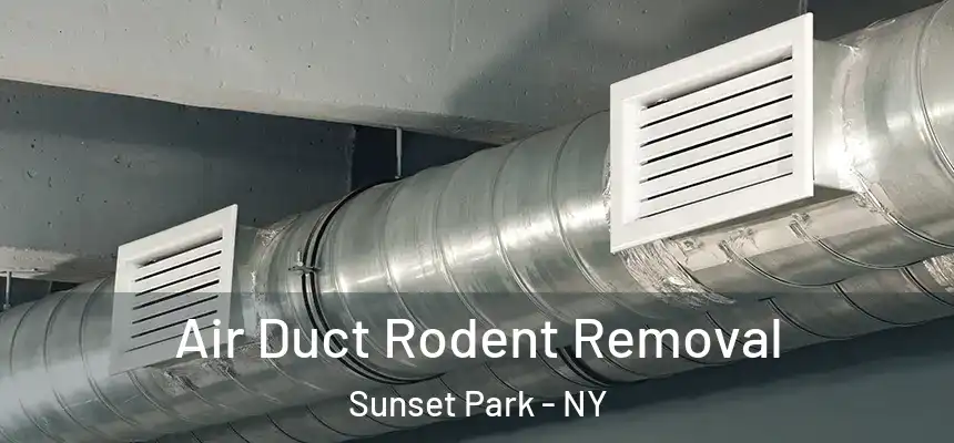 Air Duct Rodent Removal Sunset Park - NY