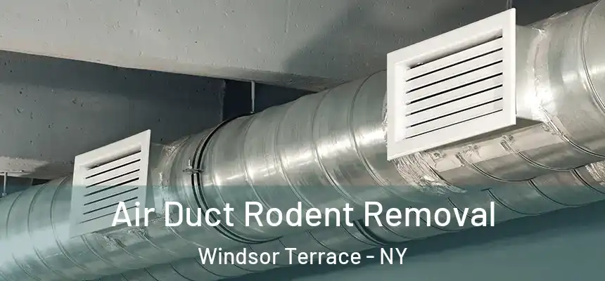 Air Duct Rodent Removal Windsor Terrace - NY