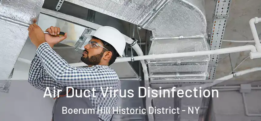 Air Duct Virus Disinfection Boerum Hill Historic District - NY