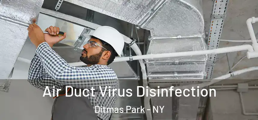  Air Duct Virus Disinfection Ditmas Park - NY
