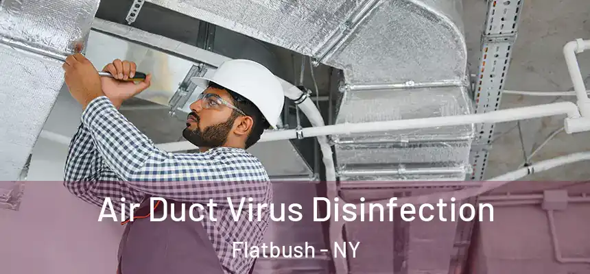  Air Duct Virus Disinfection Flatbush - NY