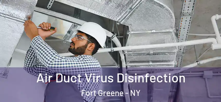 Air Duct Virus Disinfection Fort Greene - NY