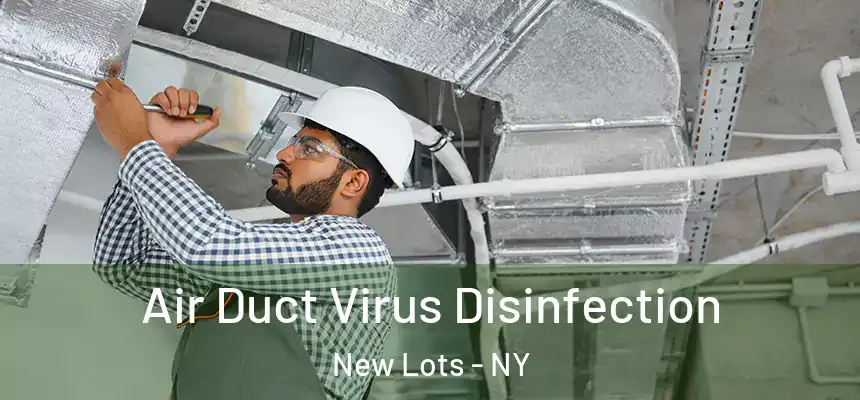  Air Duct Virus Disinfection New Lots - NY