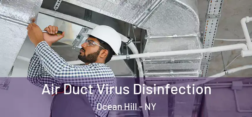Air Duct Virus Disinfection Ocean Hill - NY