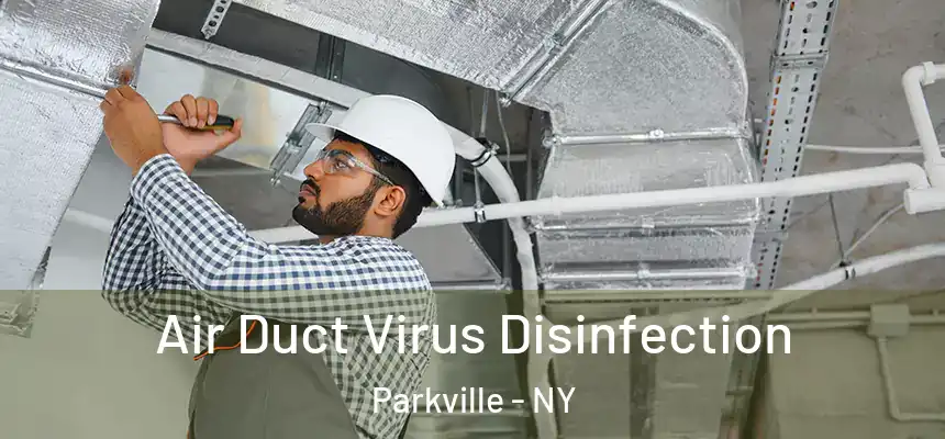 Air Duct Virus Disinfection Parkville - NY