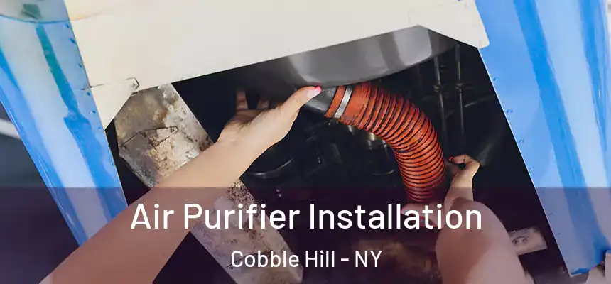 Air Purifier Installation Cobble Hill - NY