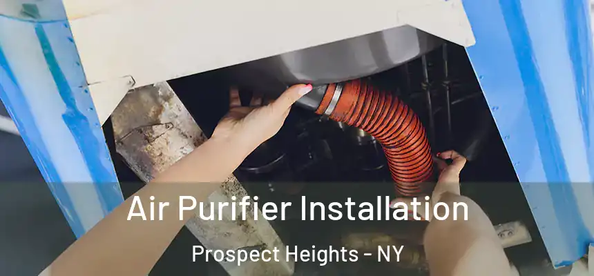 Air Purifier Installation Prospect Heights - NY