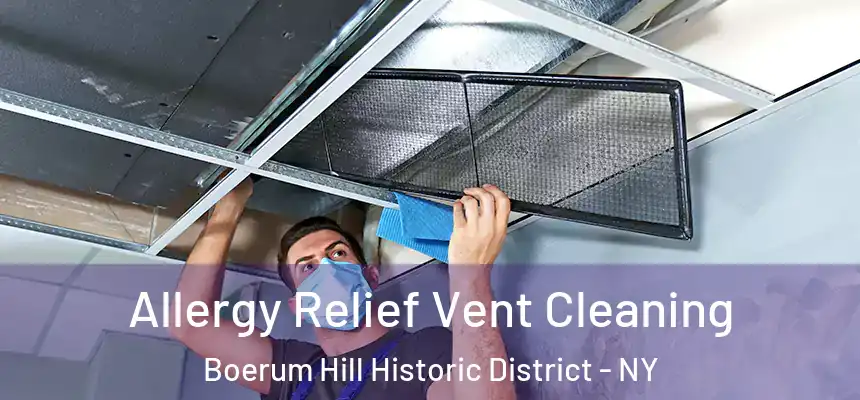 Allergy Relief Vent Cleaning Boerum Hill Historic District - NY