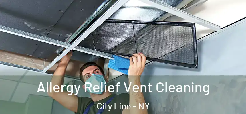 Allergy Relief Vent Cleaning City Line - NY
