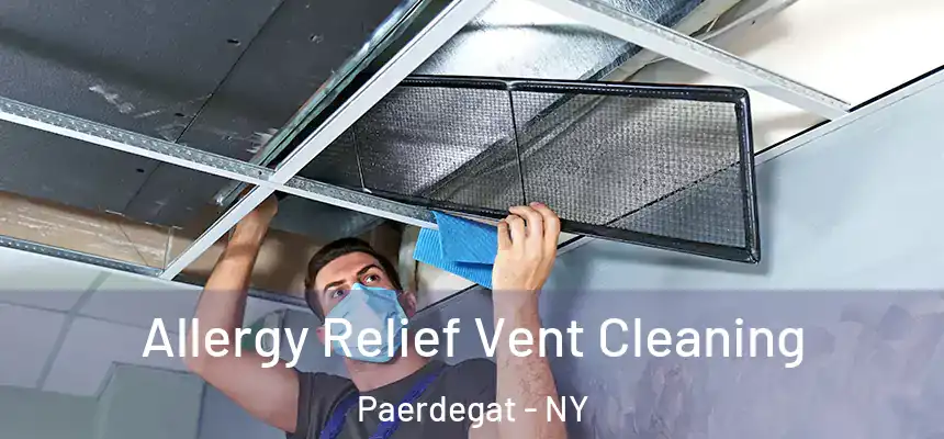 Allergy Relief Vent Cleaning Paerdegat - NY