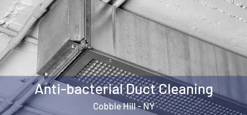 Anti-bacterial Duct Cleaning Cobble Hill - NY
