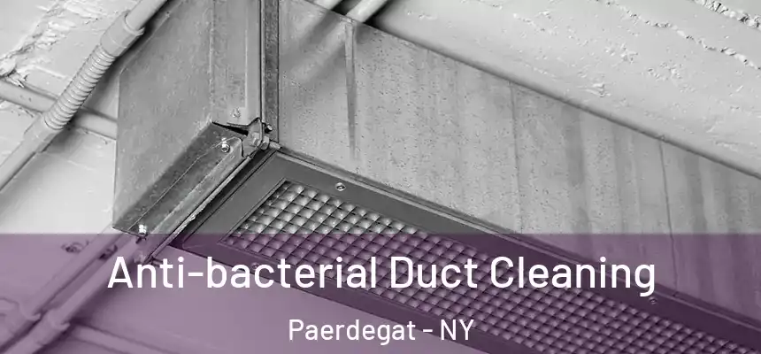 Anti-bacterial Duct Cleaning Paerdegat - NY