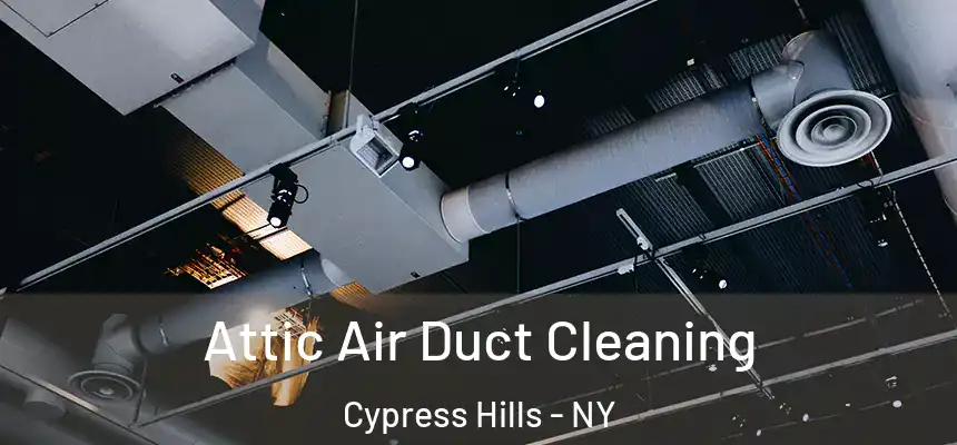Attic Air Duct Cleaning Cypress Hills - NY