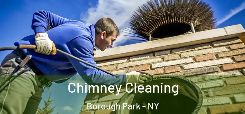 Chimney Cleaning Borough Park - NY