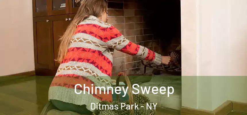Chimney Sweep Ditmas Park - NY