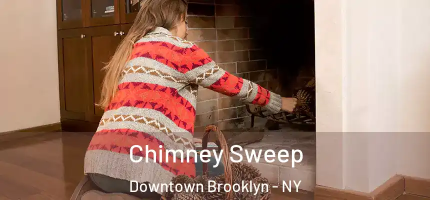 Chimney Sweep Downtown Brooklyn - NY