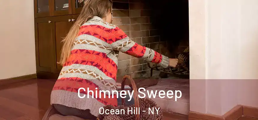 Chimney Sweep Ocean Hill - NY