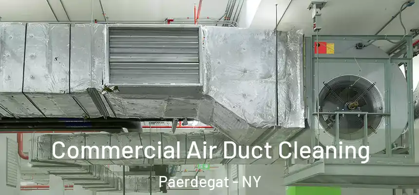 Commercial Air Duct Cleaning Paerdegat - NY
