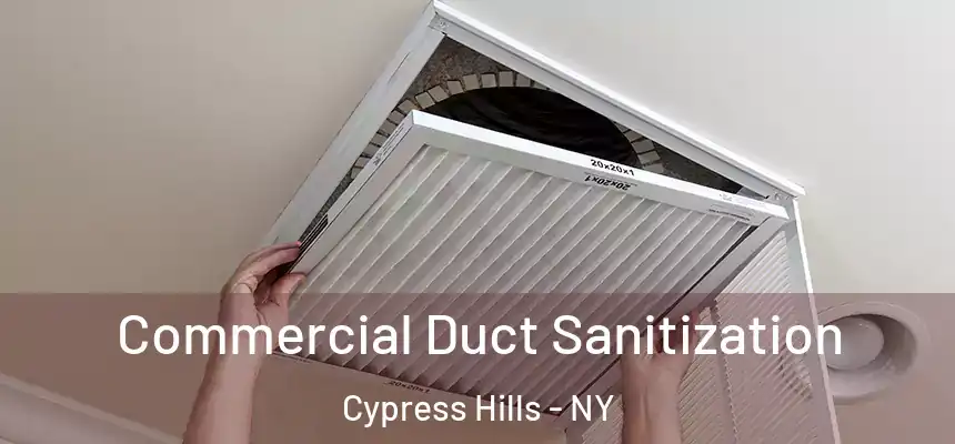 Commercial Duct Sanitization Cypress Hills - NY