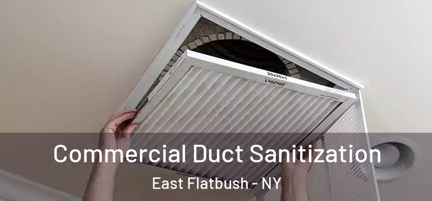 Commercial Duct Sanitization East Flatbush - NY