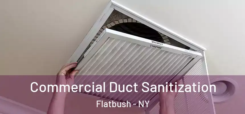 Commercial Duct Sanitization Flatbush - NY