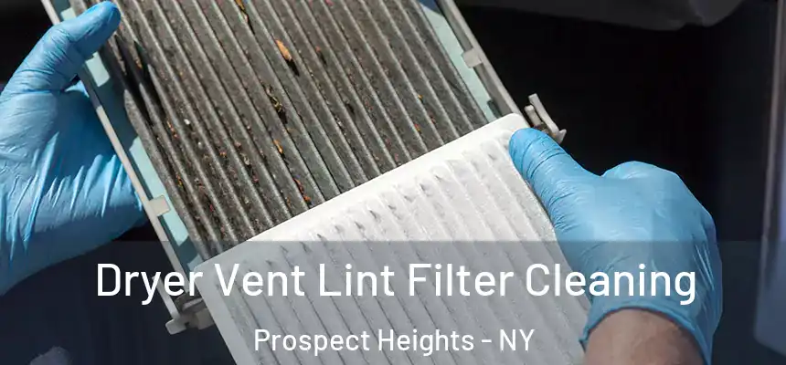 Dryer Vent Lint Filter Cleaning Prospect Heights - NY