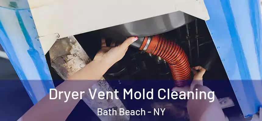 Dryer Vent Mold Cleaning Bath Beach - NY