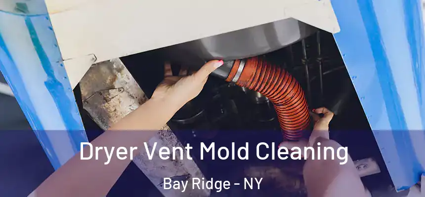 Dryer Vent Mold Cleaning Bay Ridge - NY