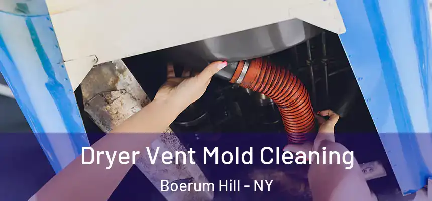 Dryer Vent Mold Cleaning Boerum Hill - NY