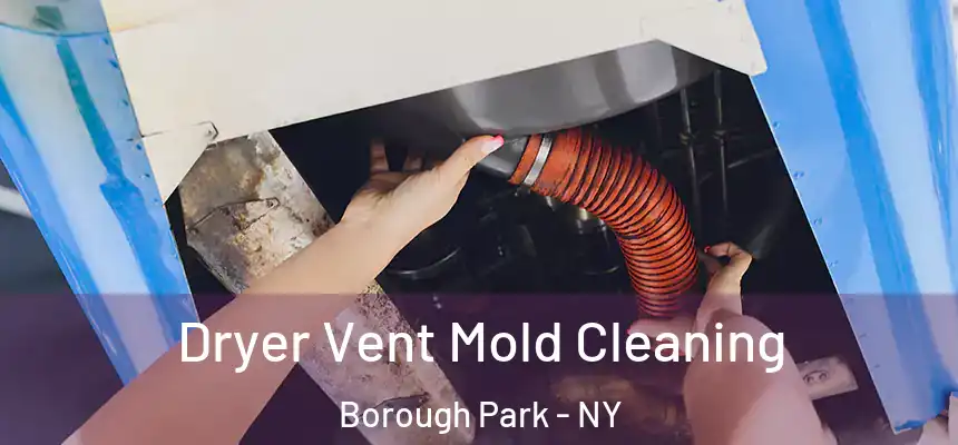 Dryer Vent Mold Cleaning Borough Park - NY