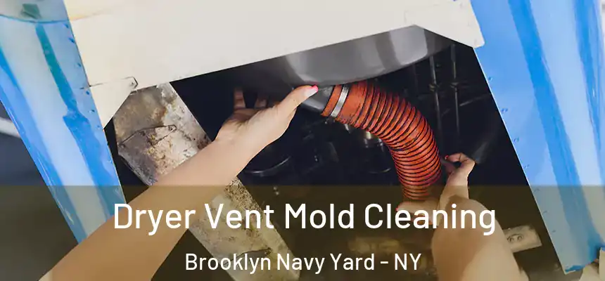 Dryer Vent Mold Cleaning Brooklyn Navy Yard - NY