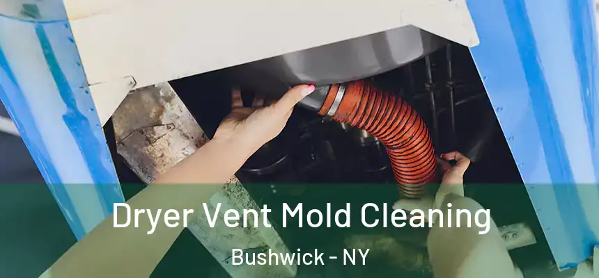 Dryer Vent Mold Cleaning Bushwick - NY