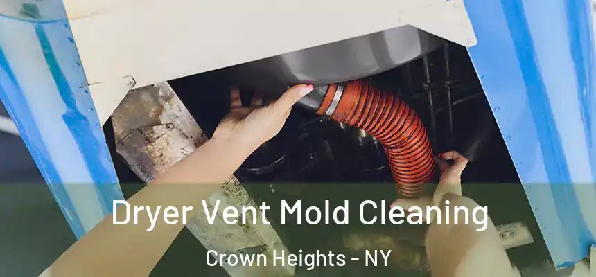 Dryer Vent Mold Cleaning Crown Heights - NY