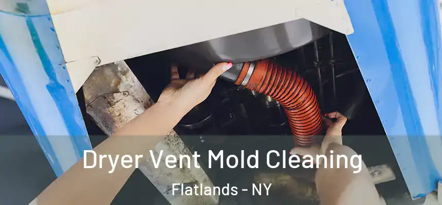 Dryer Vent Mold Cleaning Flatlands - NY