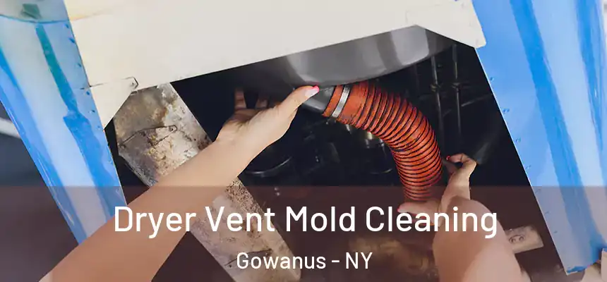 Dryer Vent Mold Cleaning Gowanus - NY