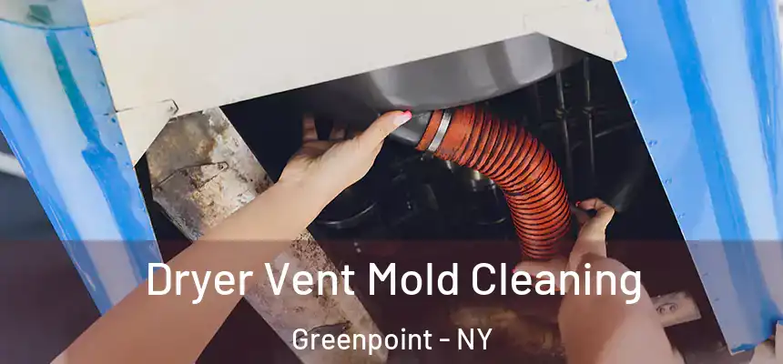 Dryer Vent Mold Cleaning Greenpoint - NY