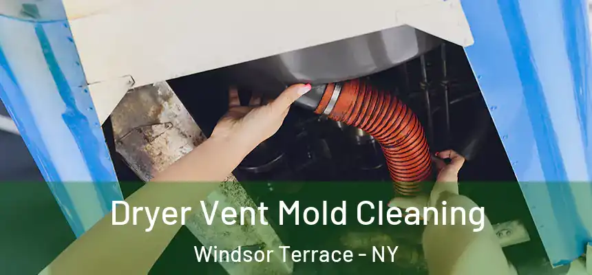 Dryer Vent Mold Cleaning Windsor Terrace - NY
