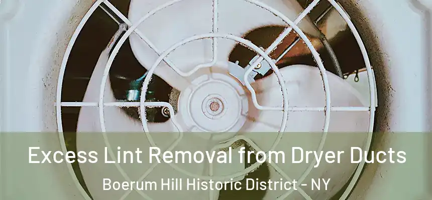 Excess Lint Removal from Dryer Ducts Boerum Hill Historic District - NY