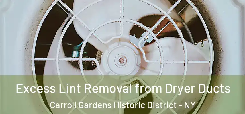 Excess Lint Removal from Dryer Ducts Carroll Gardens Historic District - NY