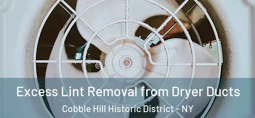 Excess Lint Removal from Dryer Ducts Cobble Hill Historic District - NY