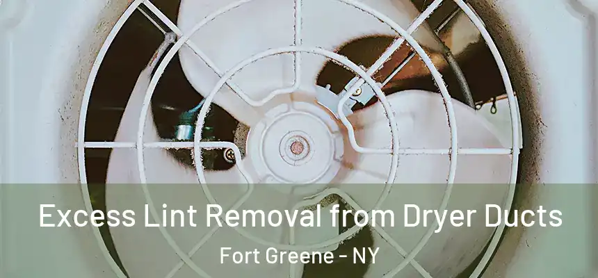 Excess Lint Removal from Dryer Ducts Fort Greene - NY