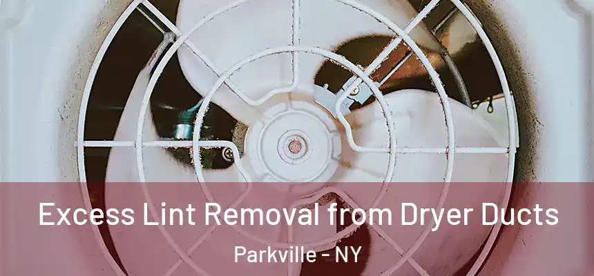 Excess Lint Removal from Dryer Ducts Parkville - NY