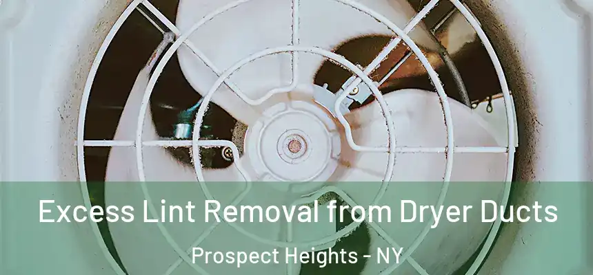 Excess Lint Removal from Dryer Ducts Prospect Heights - NY