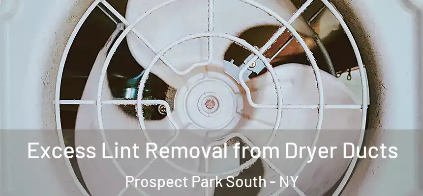 Excess Lint Removal from Dryer Ducts Prospect Park South - NY
