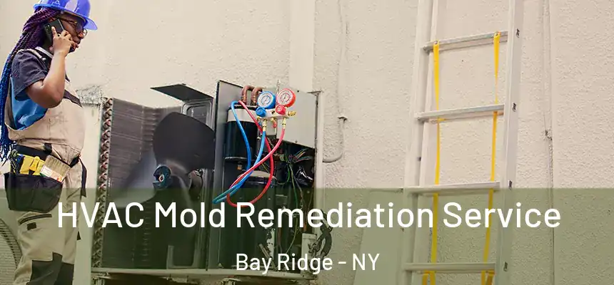 HVAC Mold Remediation Service Bay Ridge - NY