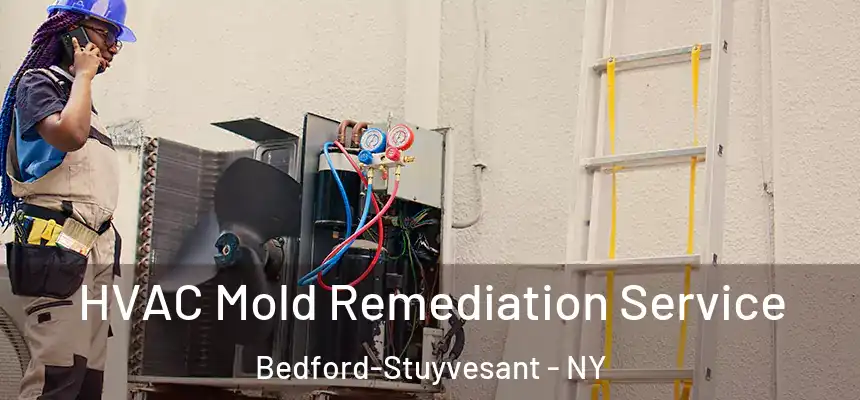 HVAC Mold Remediation Service Bedford-Stuyvesant - NY