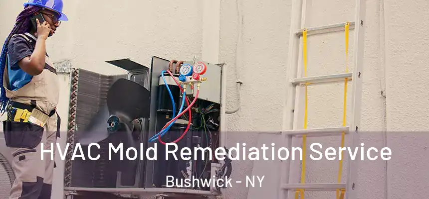  HVAC Mold Remediation Service Bushwick - NY
